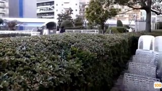 1024视频在线免费一区🈲🈲佐山爱中文字幕无码